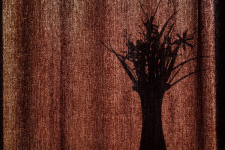 The shadow of a vase with flowers on the curtains. The black silhouette of a vase with a bouquet of flowers against the background of brown fabric curtains in the bright sun. Copyの写真素材