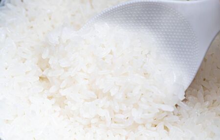 Japanese riceの写真素材