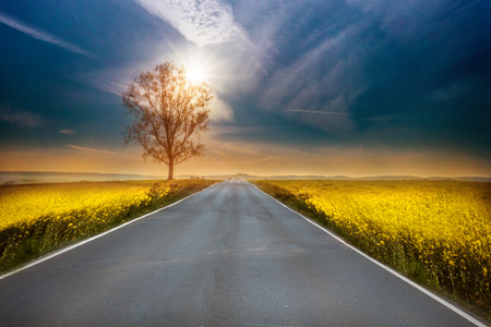 Street with unknown futureの写真素材