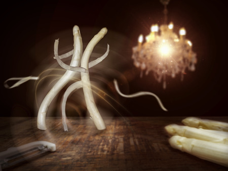 Asparagus dances while peeling on the kitchen tableの写真素材
