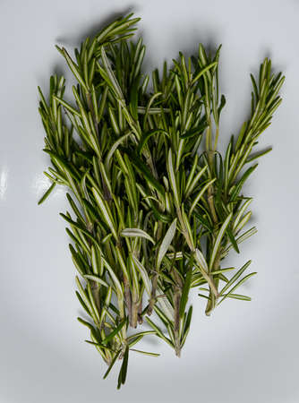 Lemon slice cut juice seed insideの写真素材