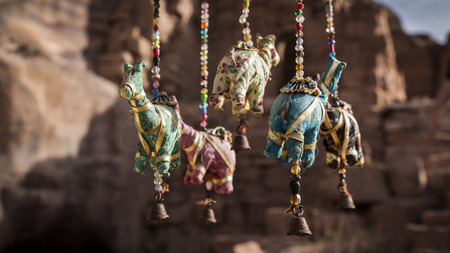 Camels, Jordanの写真素材