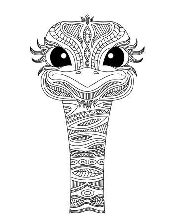 Ostrich head coloring book illustration. Black and white lines. Print for t-shirts and coloring books.のイラスト素材