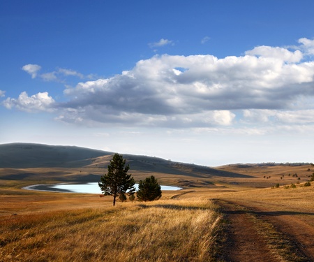 Country road in autumn day.の写真素材