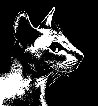 Profile of cat.のイラスト素材