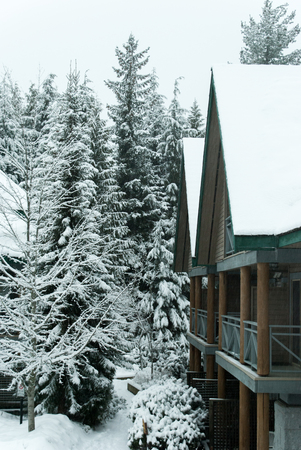 large wooden alpine building covered in fresh snow and surrounded by treesの写真素材