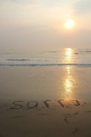 beautiful sunset on the beachの写真素材