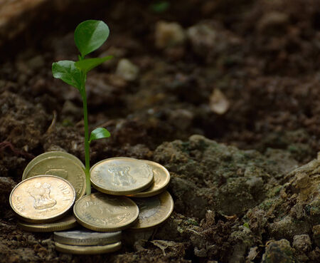 Sprout, new plat leaf with golden coin and soilの写真素材