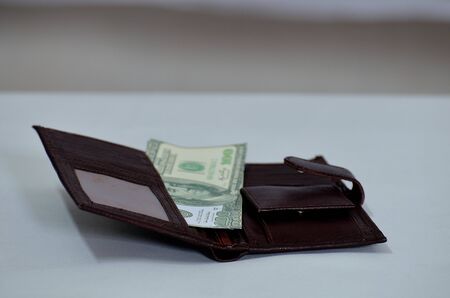 Dollar from money bag.