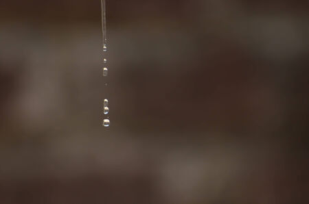 Water drop falling downの写真素材