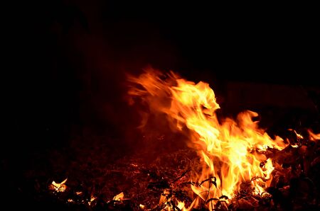 Image of the flame from the bonfire.
