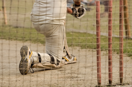 Boy is practicing cricket batting in net.の写真素材