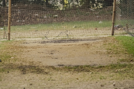 Empty wicket for the cricket season.の写真素材