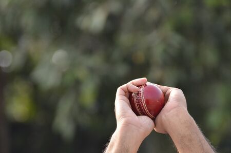 a cricket player catching a ball.