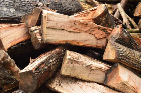 Tree logs as a background.のeditorial素材