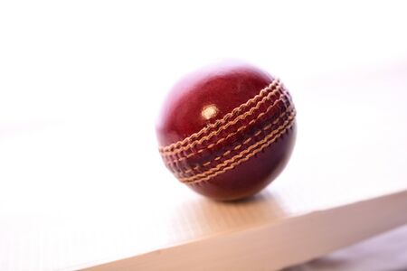 Cricket bat and ball on isolated white backgroundの写真素材