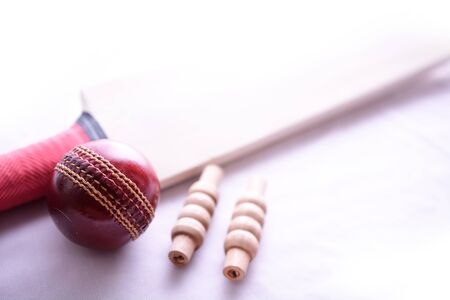 Cricket bat, ball and bails on isolated white backgroundの写真素材