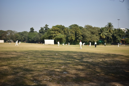 Scenic View of a Beautiful Large Lawn in a Gardenの写真素材