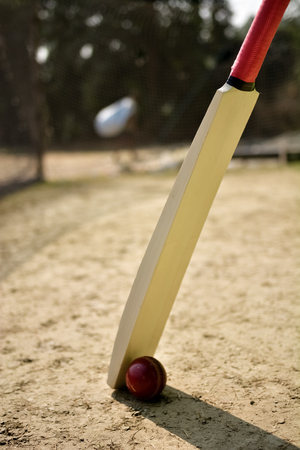 Cricket bat and ball on cricket pitchの写真素材
