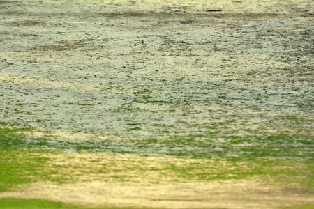 Empty cricket pitch to playの写真素材
