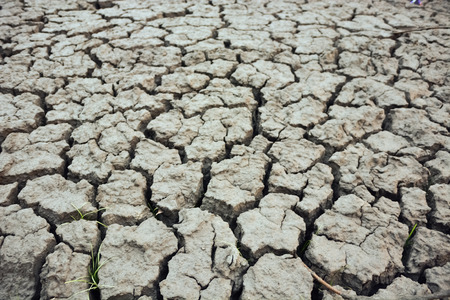 During drought, cracked ground, dry soil texture