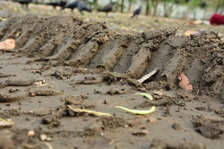 wheel track on dirty soil.