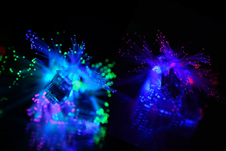 Connector RJ-45 and optical fibre against black background