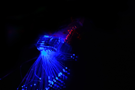 Ethernet connector RJ-45 and optical fibre against black backgroundの写真素材