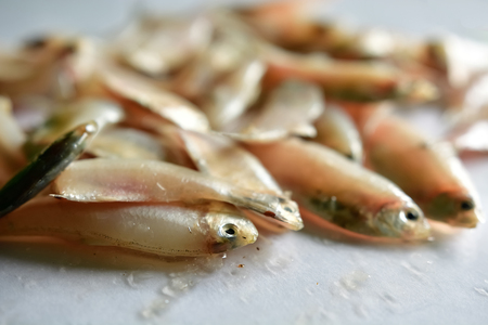 Fresh mackerel fish stack on white tableの写真素材