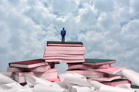Business man standing on the top of books