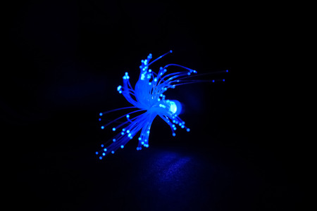 Optical fibre cable against isolated black backgroundの写真素材