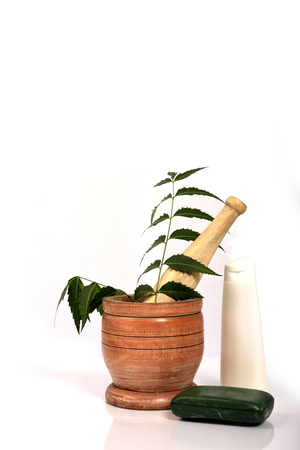 Ayurveda bath soap or neem soap or neem oil made in by Azadirachta indica on white background.の写真素材