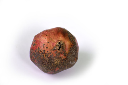 Juicy pomegranate on white backgroundの写真素材