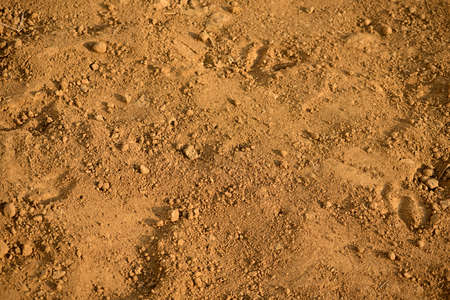 Soil soil texture background in garden