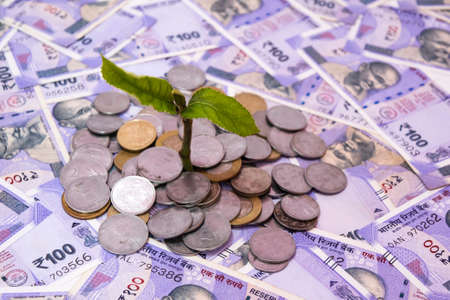 Green plant growing through a stack of Indian coins on one hundreds rupees banknote background