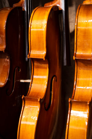 Many violins are hanging in a musical shop for ready to sellの写真素材