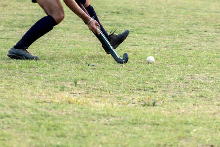 Hockey player going to pick up hockey ball.の写真素材