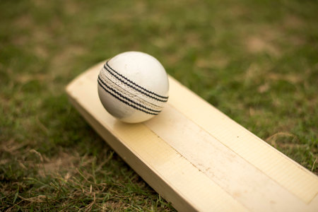 Cricket bat and white cricket ball on playing grass field pitchの写真素材