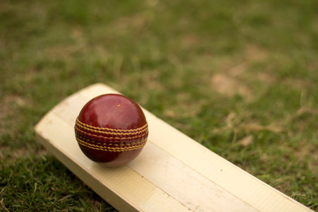 Cricket bat and ball on playing grass field pitchの写真素材