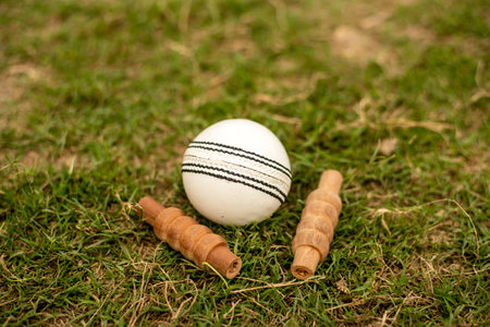 White cricket ball and bails are display on green grass field.の写真素材
