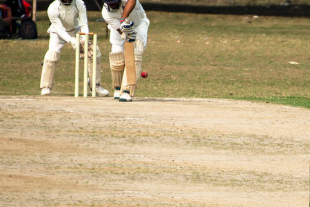 Cricket batsman is playing forward for defensive strokeの写真素材