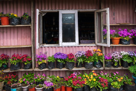 Close-up of a traditional Window of a wooden houseの写真素材