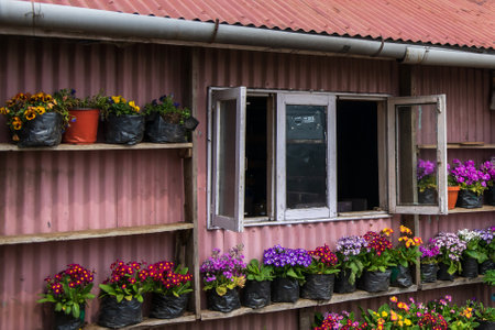 Close-up of a traditional Window of a wooden houseの写真素材