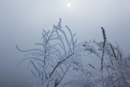 Jilin Rime Jilin Rime