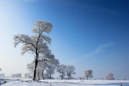 Jilin Rime Jilin Rime