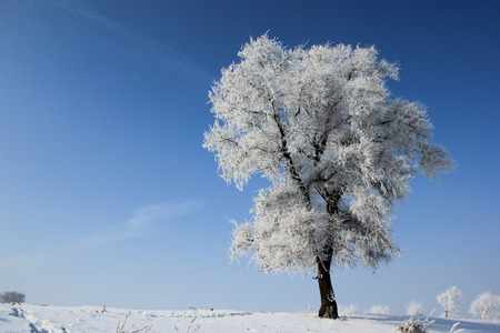 Jilin Rime Jilin Rime