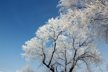 Jilin Rime Jilin Rime