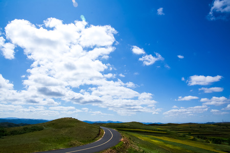 The grass along the creatorの写真素材