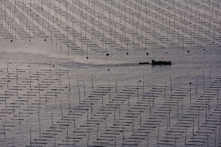 Xiapu breeding industryの写真素材