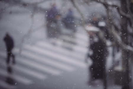 Snowy streetの写真素材